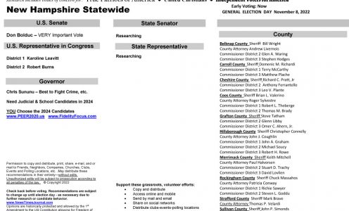 NH Statewide 2022 General