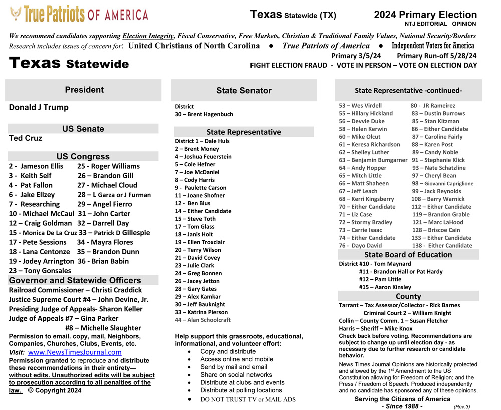 TX Statewide 2024 Primary
