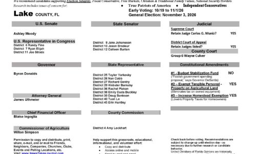 Lake County Florida General Election Voter Guide 2026