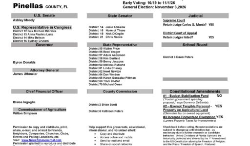 Pinellas County Florida General Election Voter Guide 2026